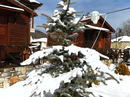 Chalet Parea Metamorfosi  Exterior photo